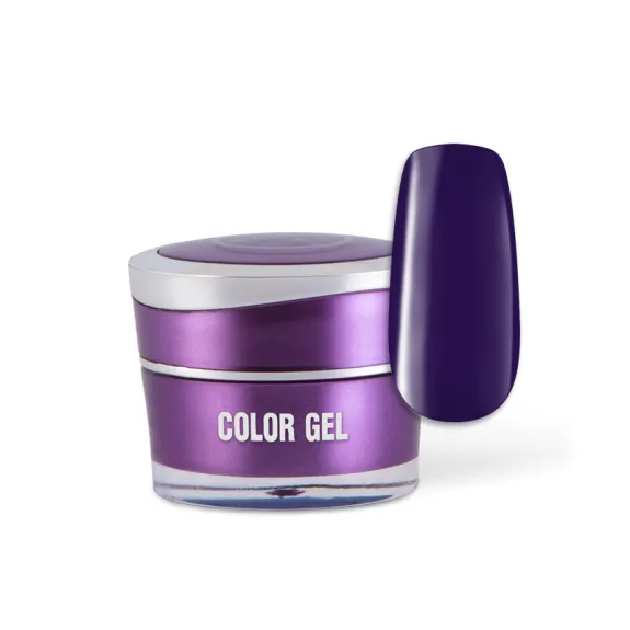 Color Gel - Winning Violet #153