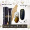 2 in 1 Stamping & Painting Gel - Shimmer Gold