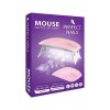 UV/LED Lamp - Mouse Gel Polish Lamp