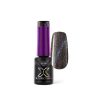 LaQ X - Flash Cat Eye Gel Polish Collection