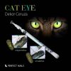 Cat Eye Decor Magnet Gel Polish Pen