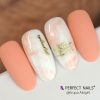 Elastic Cover Base Gel 8ml - Blush - with Brush