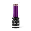 Color Rubber Base Gel - Silver Glitter 4ml